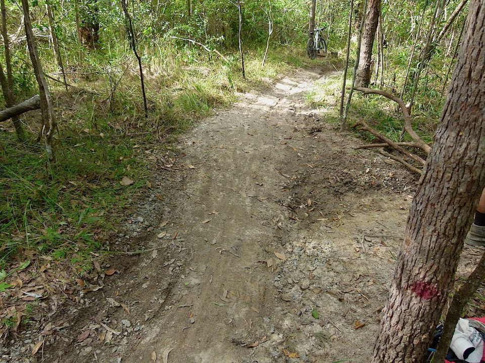 P1160423.jpg